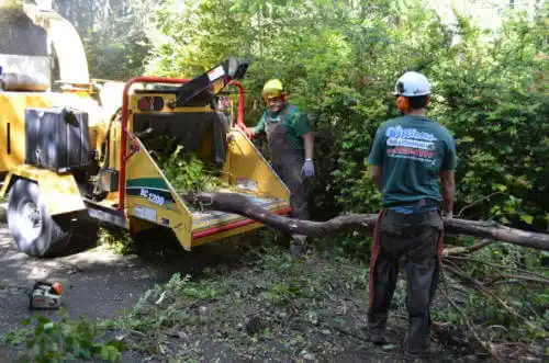 tree services Wilmington Island